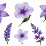 30 February Flower Tattoo Ideas with Birth Month Beauty